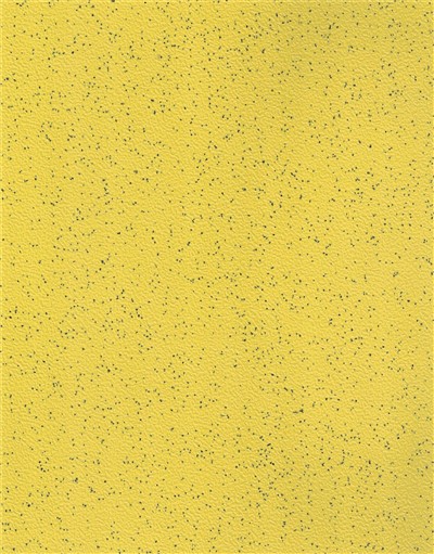 Geel geen staande gebied bus vinylvloeren